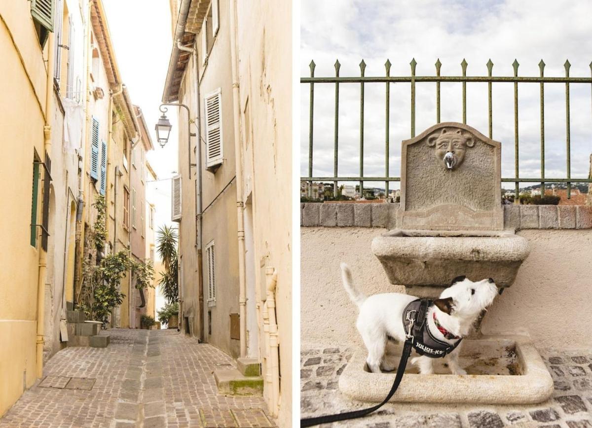 Suquet Avec Parking Appartement *